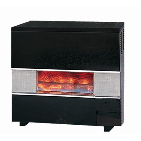 natural gas heaters for home